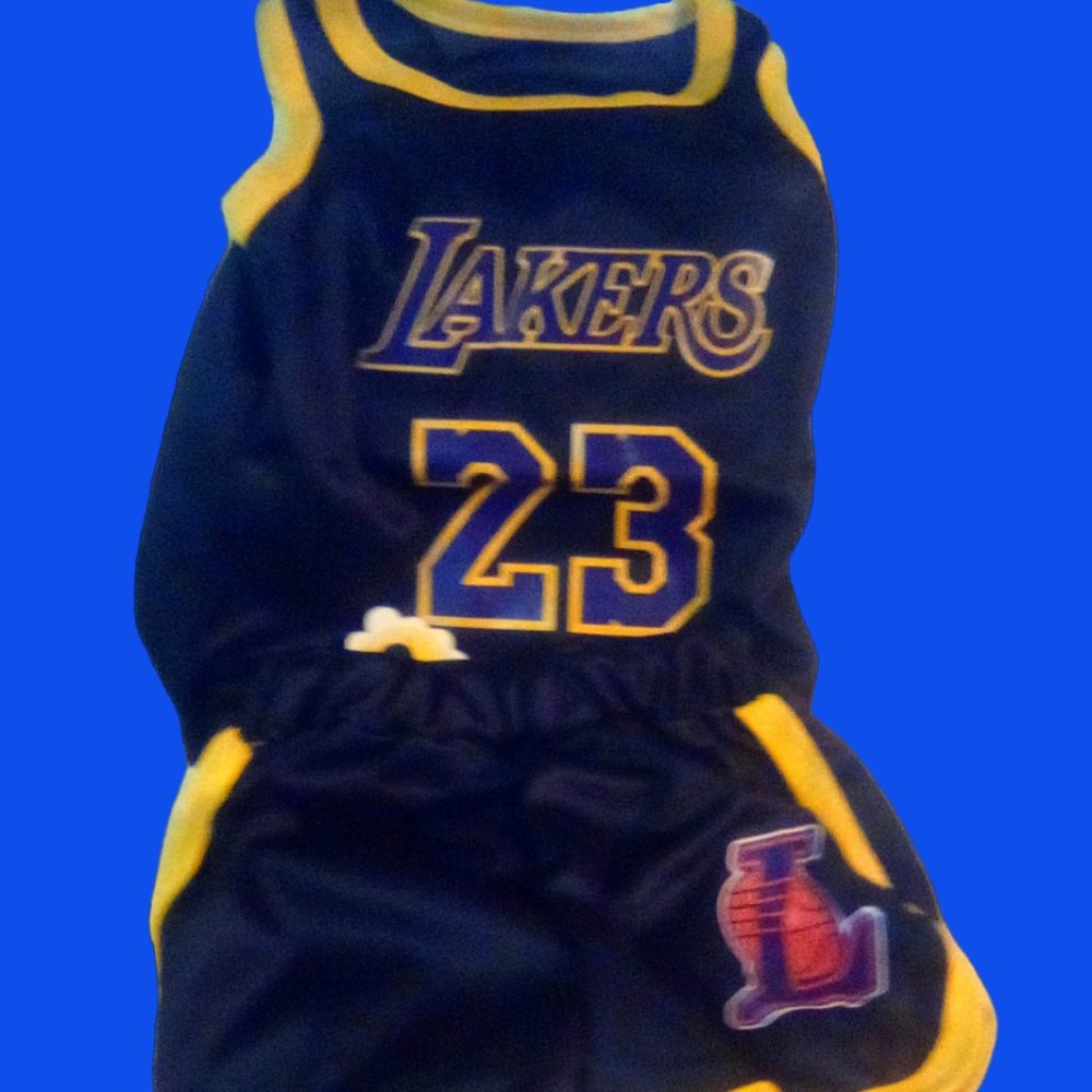 Laker's Lebron James #23 Basketball 2-pc Kids outfit Jersey/Pant 2-3T (LAST ONE)